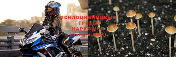 MDMA Медногорск