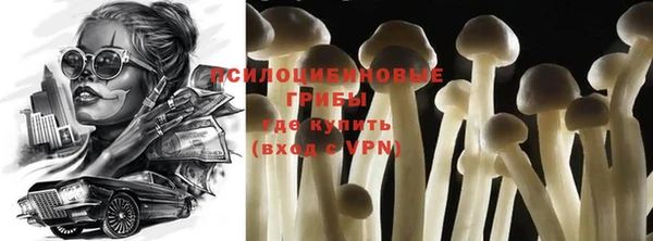 MDMA Медногорск