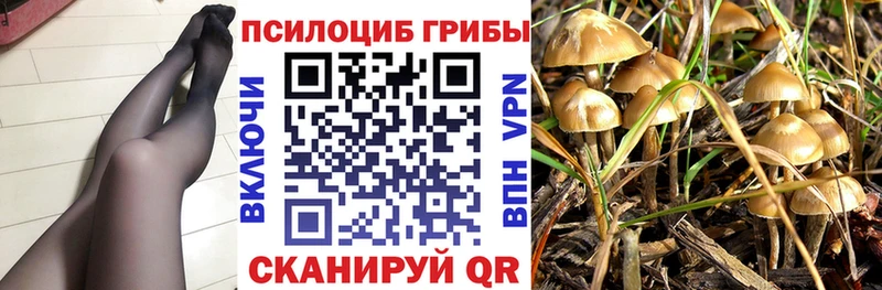 Галлюциногенные грибы GOLDEN TEACHER  Монино 